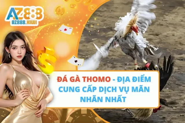 Đá Gà Thomo – Địa Điểm Cung Cấp Dịch Vụ Mãn Nhãn Nhất